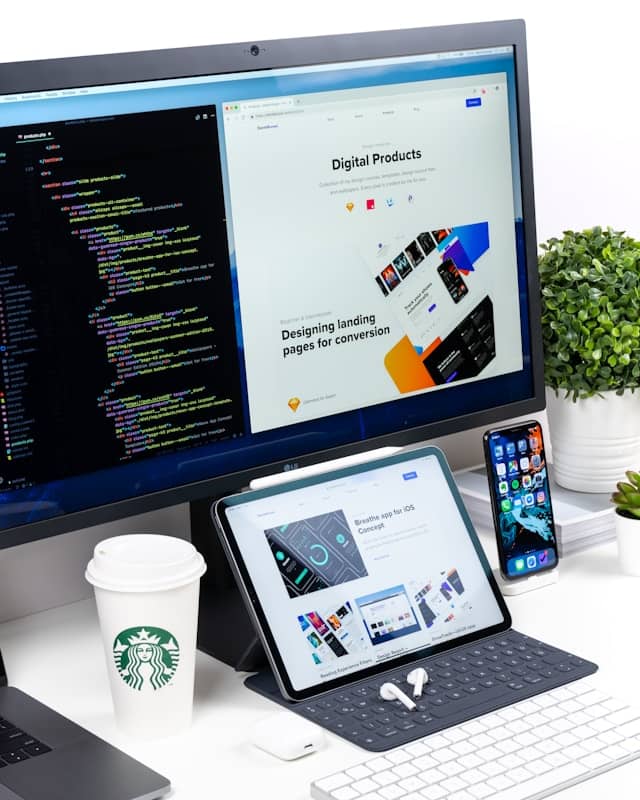desarrollo web